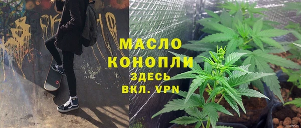 сатива Алагир