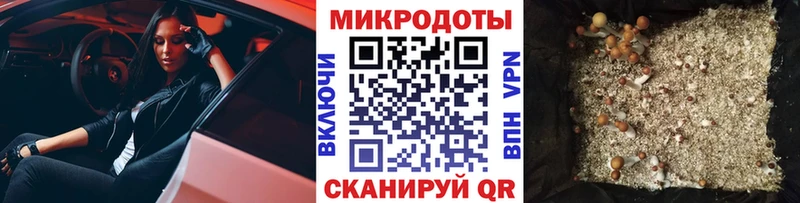 Купить закладки Наро-Фоминск Псилоцибиновые грибы мухоморы